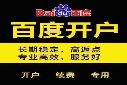 百度竞价代运营成功案例解析